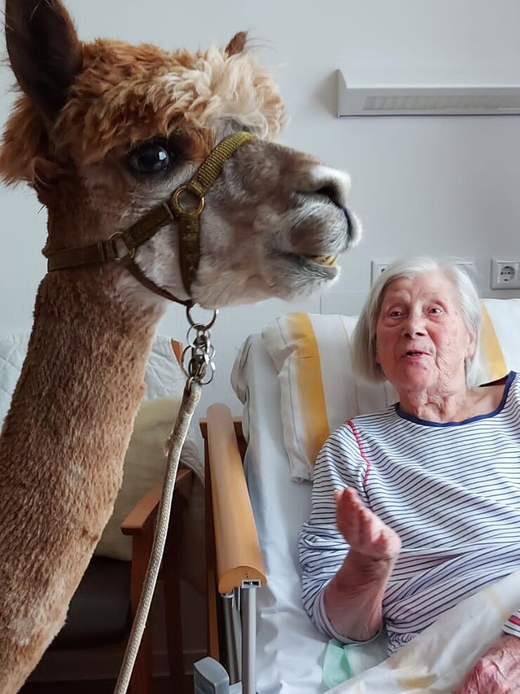 Tiergestützte Therapie