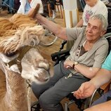 Tiergestützte Therapie